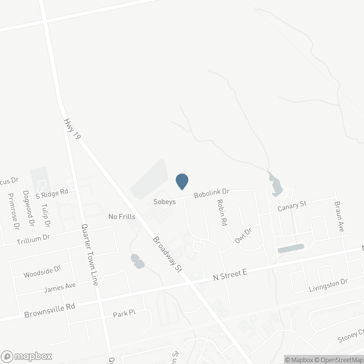 8 FINCH STREET, Tillsonburg, Ontario N4G 0L9
